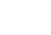 salesforce-2 1